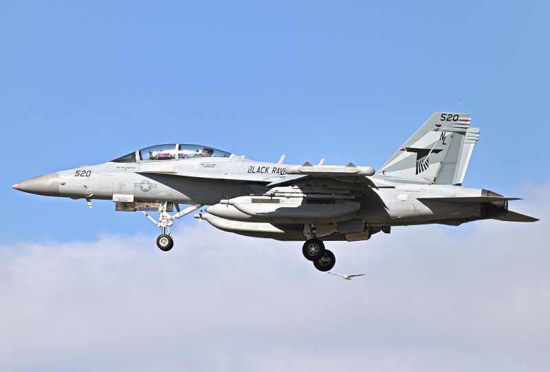 Photo of 166855 - USN - United States Navy Boeing EA-18G Growler at NZY on AeroXplorer Aviation Database Photo of 166855 - USN - United States Navy Boeing EA-18G Growler at NZY on AeroXplorer Aviation Database