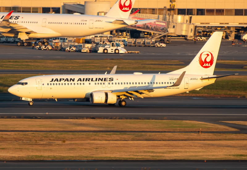 Photo of JA333J - Japan Airlines Boeing 737-800 at HND on AeroXplorer Aviation Database