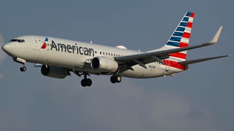 Photo of N801NN - American Airlines Boeing 737-800 at DFW on AeroXplorer Aviation Database