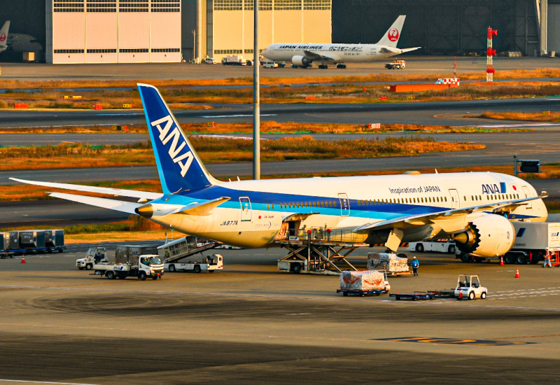 Photo of JA877A - All Nippon Airways Boeing 787-9 at HND on AeroXplorer Aviation Database