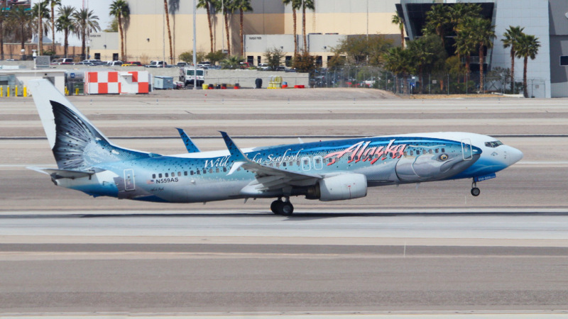 Photo of N559AS - Alaska Airlines Boeing 737-800 at LAS on AeroXplorer Aviation Database