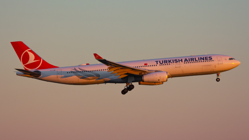 Photo of TC-LOB - Turkish Airlines Airbus A330-200 at LCK on AeroXplorer Aviation Database