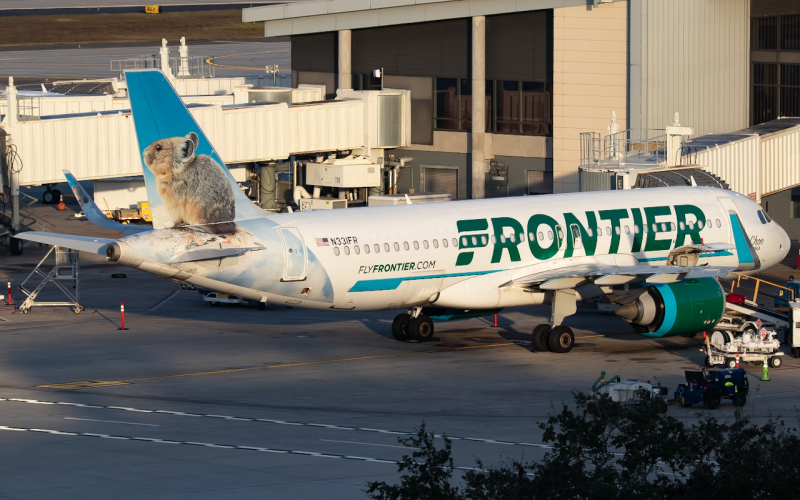 Photo of N331FR - Frontier Airlines Airbus A320NEO at TPA  on AeroXplorer Aviation Database