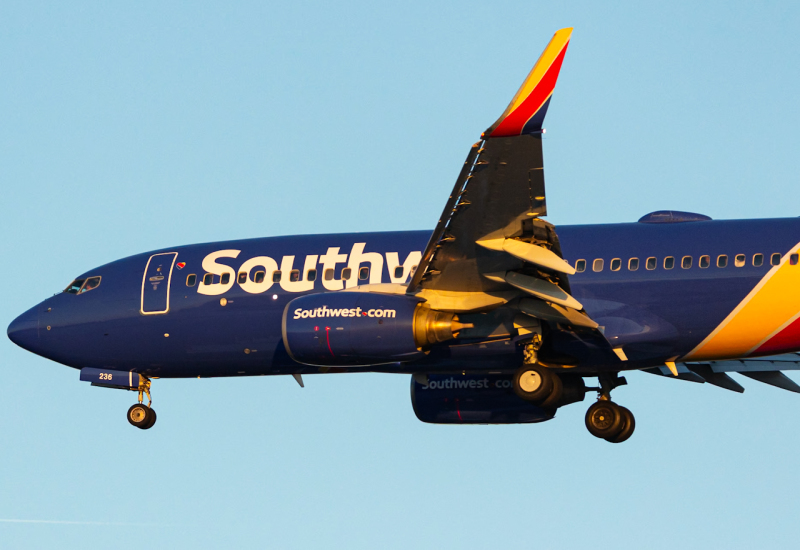 Photo of N236WN - Southwest Airlines Boeing 737-700 at TPA on AeroXplorer Aviation Database
