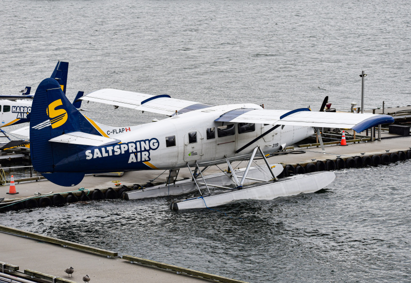 Photo of C-FLAP - Saltspring Air De Havilland DHC-3 at CXH on AeroXplorer Aviation Database