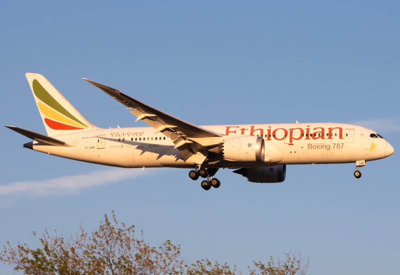 Photo of ET-AOR - Ethiopian Airlines Boeing 787-8 at JFK on AeroXplorer Aviation Database