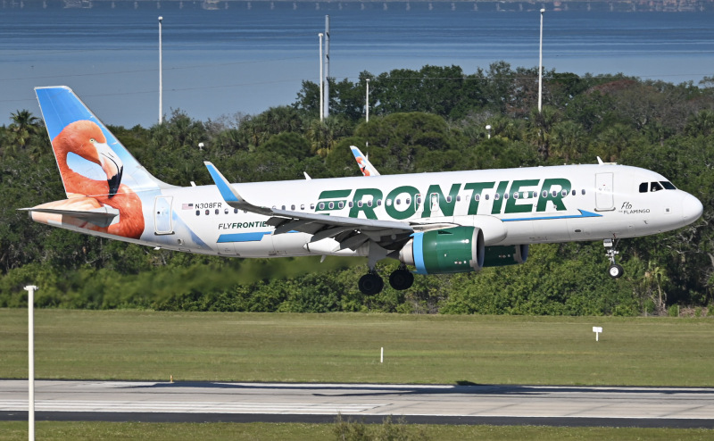 Photo of N308FR - Frontier Airlines Airbus A320NEO at TPA on AeroXplorer Aviation Database