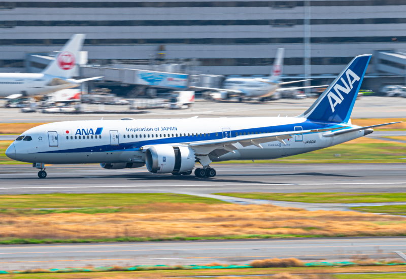 Photo of JA801A  - All Nippon Airways Boeing 787-8 at HND on AeroXplorer Aviation Database