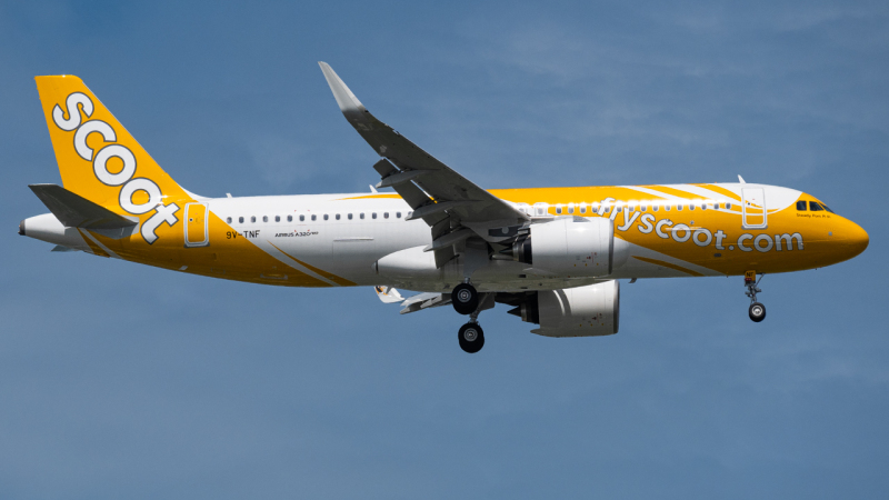 Photo of 9V-TNF - Scoot Airbus A320NEO at SIN on AeroXplorer Aviation Database