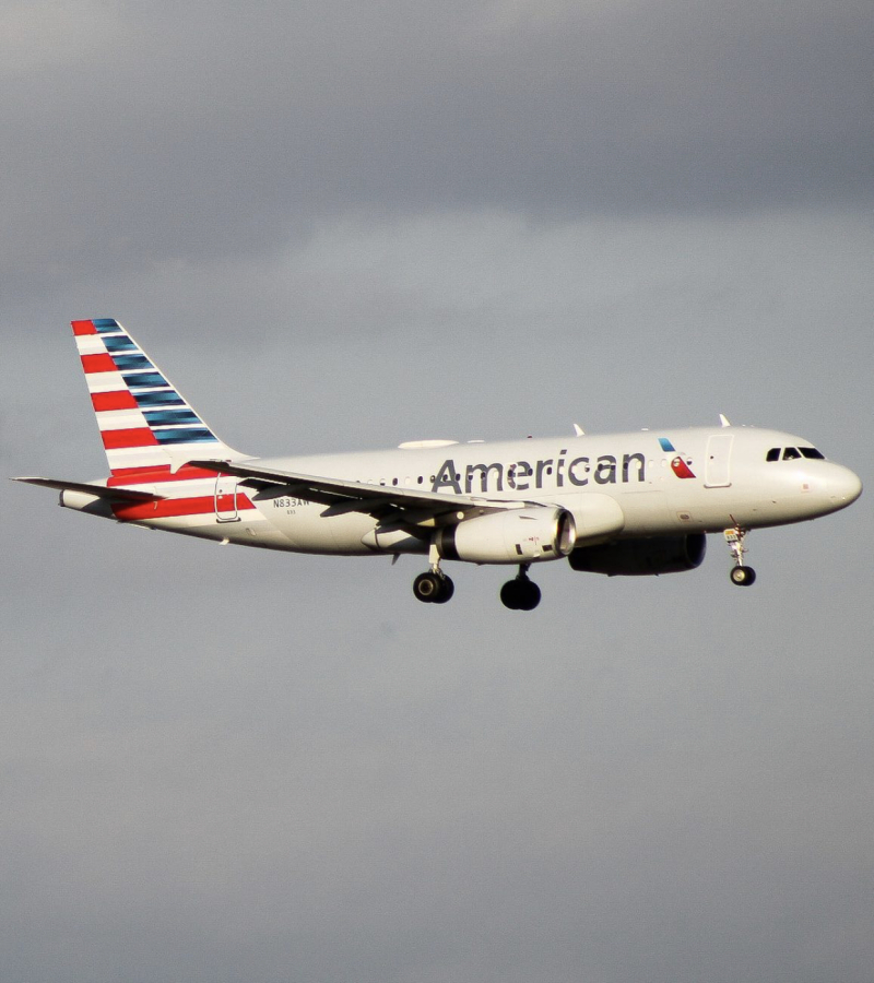 Photo of N833AW - American Airlines Airbus A319 at DFW on AeroXplorer Aviation Database