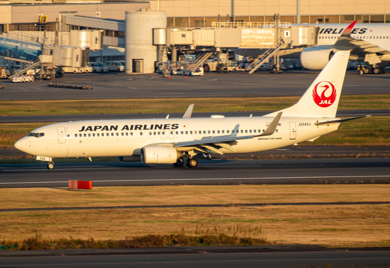 Photo of JA342J - Japan Airlines Boeing 737-800 at HND on AeroXplorer Aviation Database