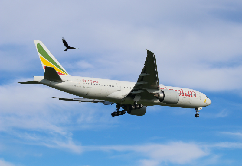 Photo of ET-ANO - Ethiopian Airlines Boeing 777-200LR at IAD on AeroXplorer Aviation Database