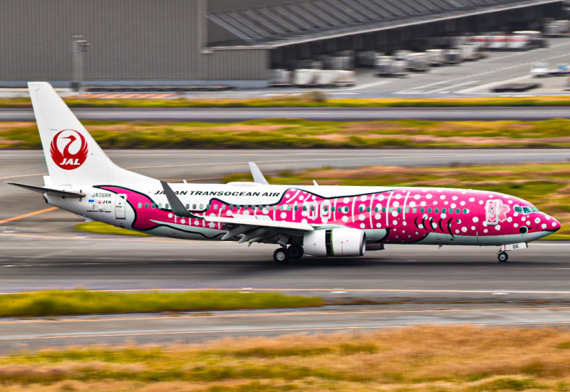 Photo of JA06RK - Japan Airlines Boeing 737-800 at HND on AeroXplorer Aviation Database