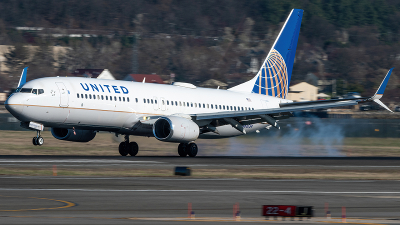 Photo of N86534 - United Airlines Boeing 737-800 at DCA on AeroXplorer Aviation Database