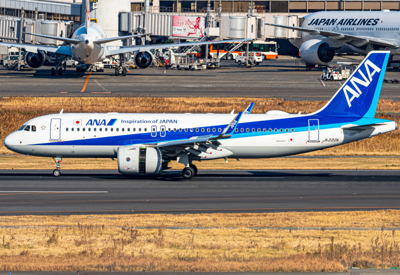Photo of JA222A - All Nippon Airways Airbus A320NEO at HND on AeroXplorer Aviation Database