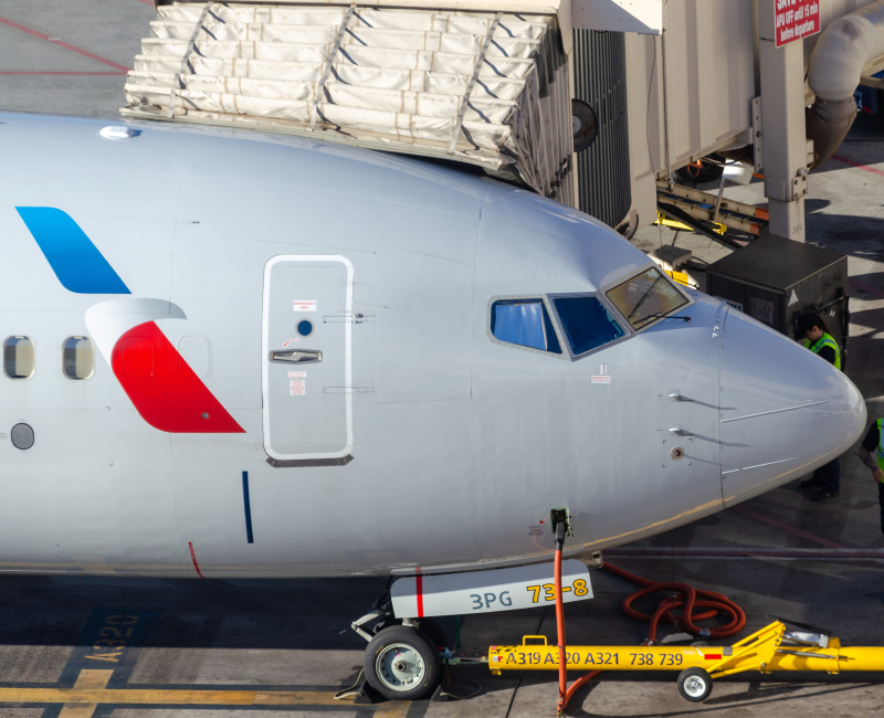 Photo of N317PG - American Airlines Boeing 737-800 at PHX on AeroXplorer Aviation Database