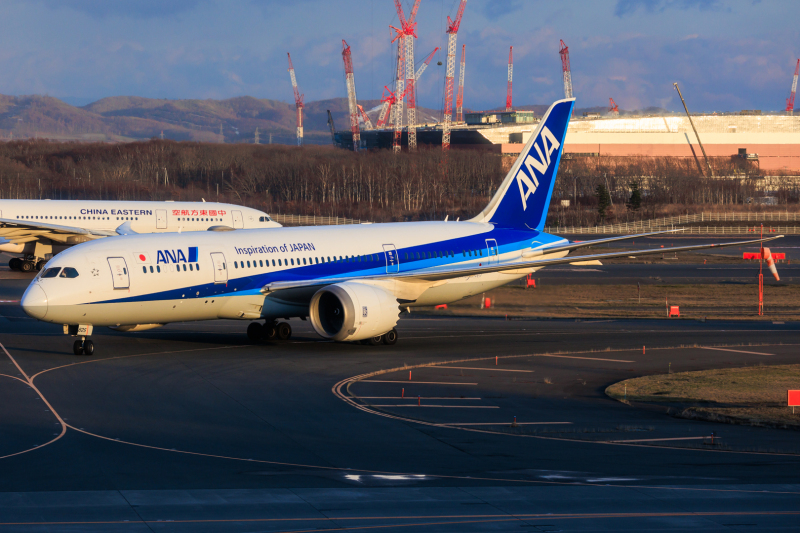 Photo of JA825A - All Nippon Airways Boeing 787-8 at CTS on AeroXplorer Aviation Database