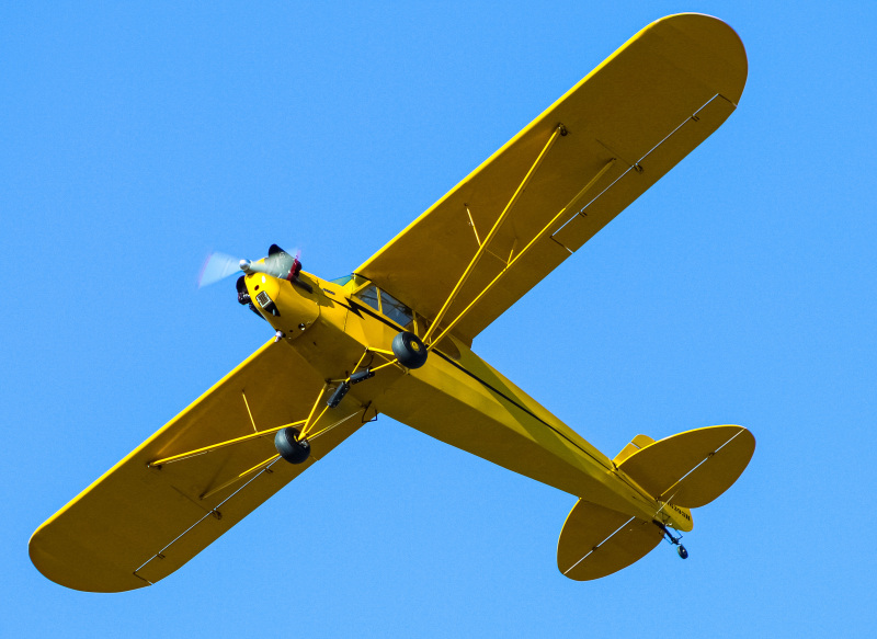 Photo of N452SP - PRIVATE  Piper Cub at I69 on AeroXplorer Aviation Database