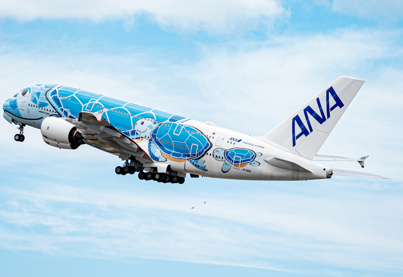 Photo of JA381A - All Nippon Airways Airbus A380-800 at HNL on AeroXplorer Aviation Database