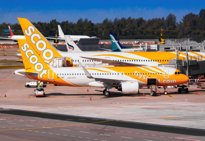 Photo of 9V-TNC - Scoot Airbus A320NEO at SIN on AeroXplorer Aviation Database