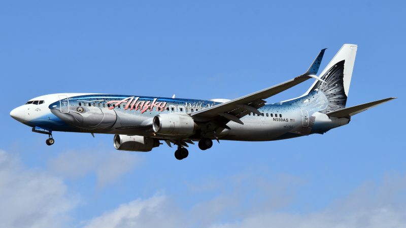 Photo of N559AS - Alaska Airlines Boeing 737-800 at LAX on AeroXplorer Aviation Database