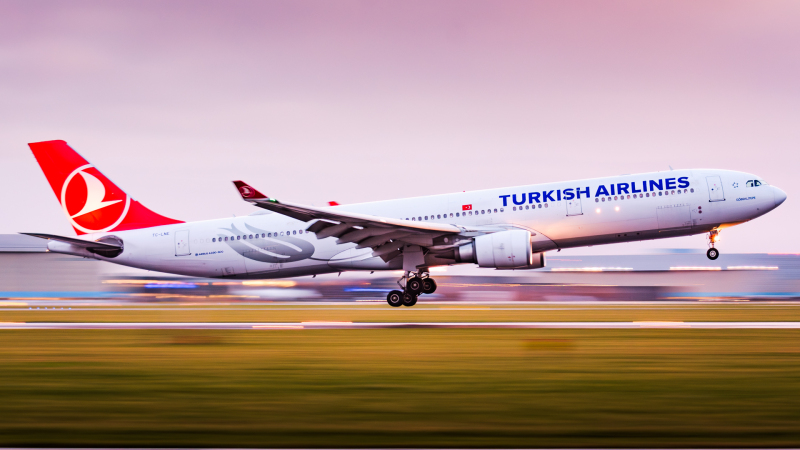 Photo of TC-LNE - Turkish Airlines Airbus A330-300 at AMS on AeroXplorer Aviation Database