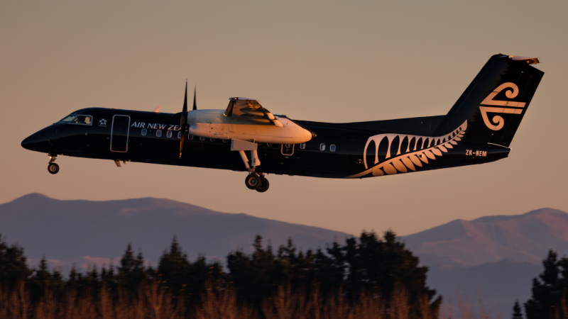 Photo of ZK-NEM - Air New Zealand De Havilland Dash-8 q300 at CHC on AeroXplorer Aviation Database