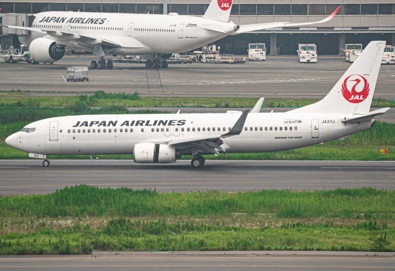 Photo of JA311J - Japan Airlines Boeing 737-800 at HND on AeroXplorer Aviation Database