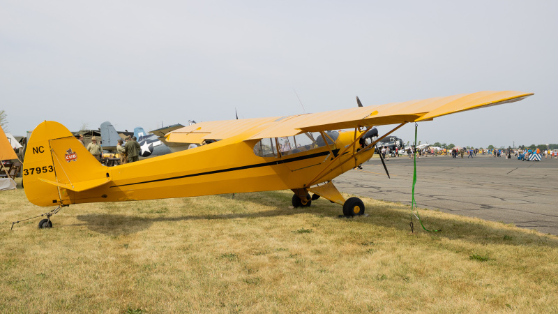 Photo of NC37953 - PRIVATE Piper Cub at RDG on AeroXplorer Aviation Database