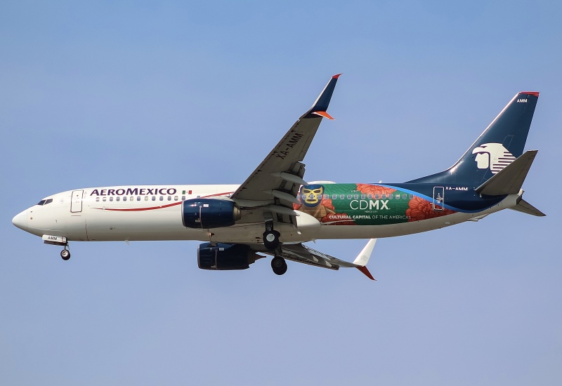 Photo of XA-AMM - Aeromexico Boeing 737-800 at ORD on AeroXplorer Aviation Database