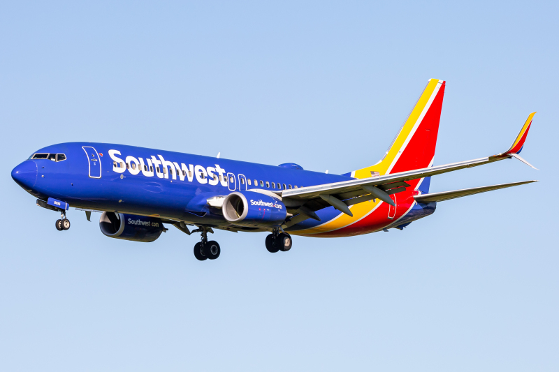 Photo of N8595D - Southwest Airlines Boeing 737-800 at BWI on AeroXplorer Aviation Database