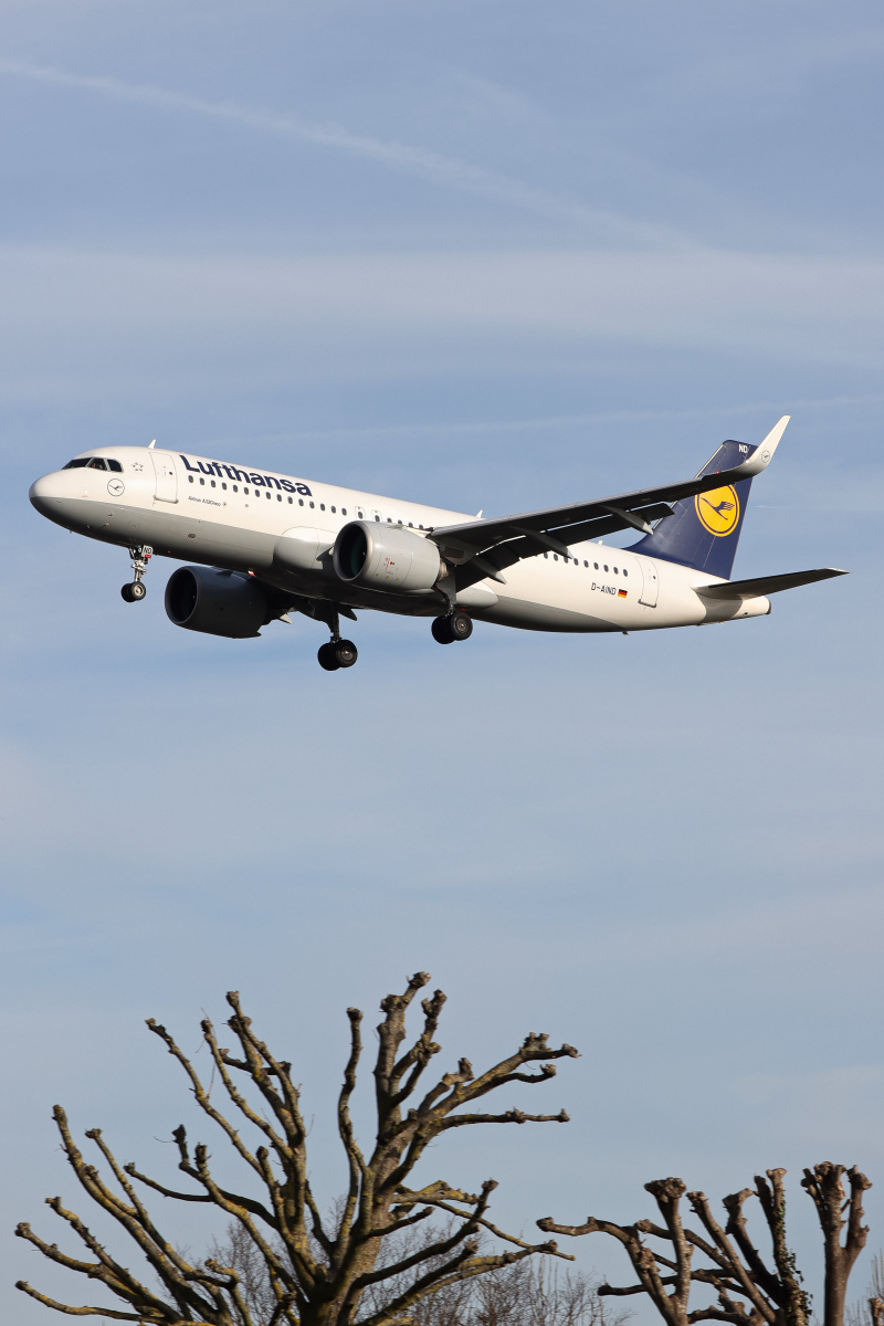 Photo of D-AIND - Lufthansa Airbus A320NEO at LHR on AeroXplorer Aviation Database