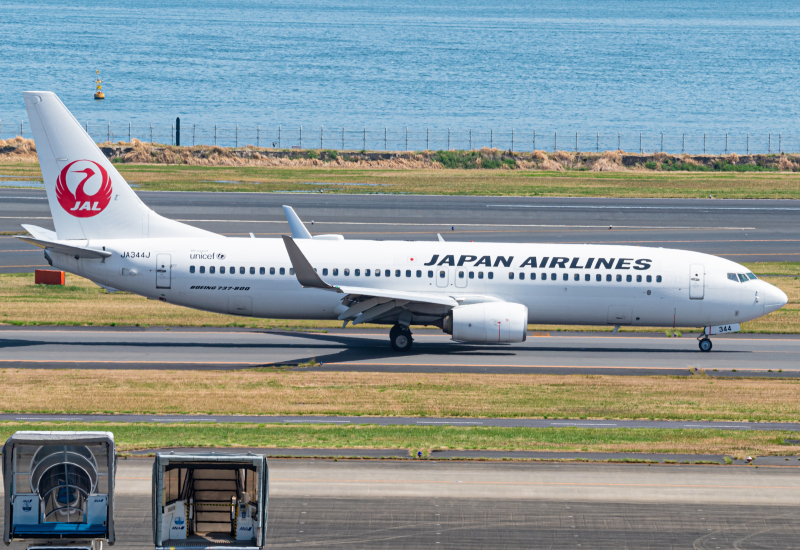 Photo of JA344J - Japan Airlines Boeing 737-800 at HND on AeroXplorer Aviation Database