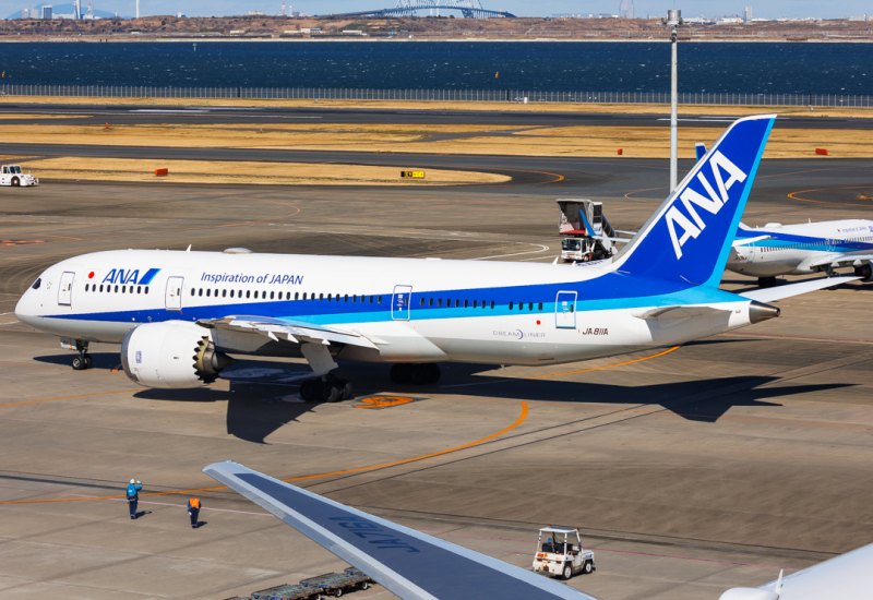Photo of JA811A - All Nippon Airways Boeing 787-8 at HND on AeroXplorer Aviation Database