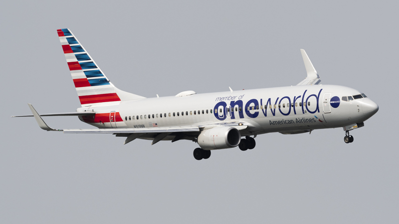 Photo of N919NN - American Airlines Boeing 737-800 at DCA on AeroXplorer Aviation Database