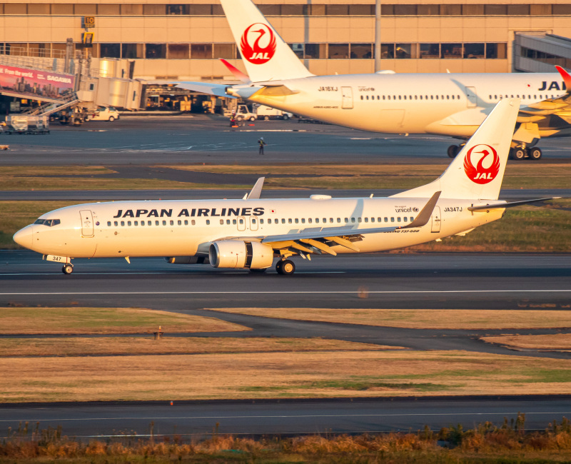 Photo of JA347J - Japan Airlines Boeing 737-800 at HND on AeroXplorer Aviation Database