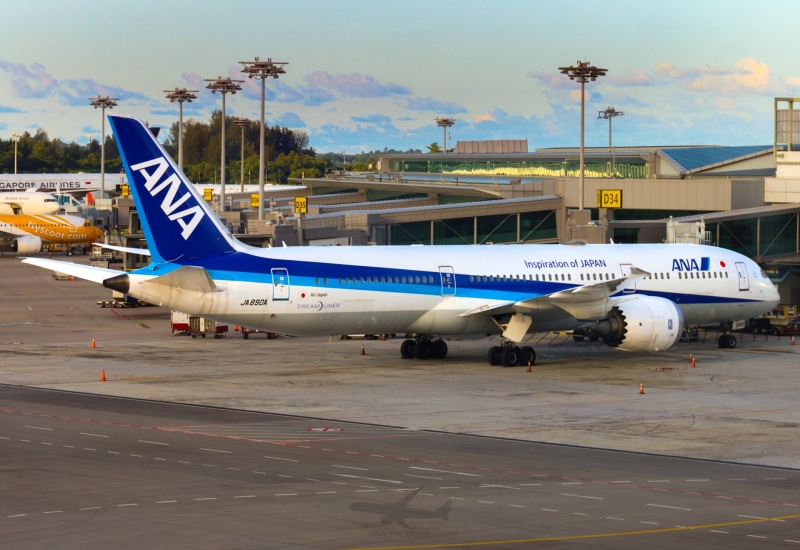 Photo of JA890A - All Nippon Airways Boeing 787-9 at SIN on AeroXplorer Aviation Database