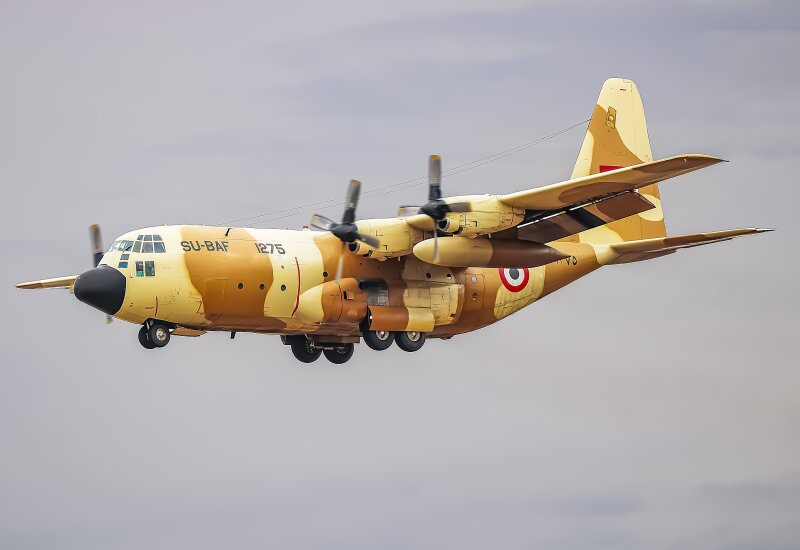 Photo of SU-BAF - Egypt Air Force Lockheed C-130H Hercules at BWI on AeroXplorer Aviation Database
