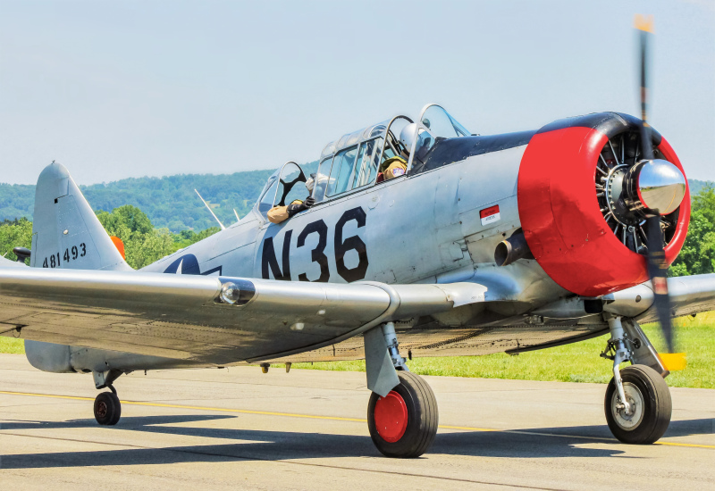Photo of N36 - PRIVATE North American T-6 Texan at RDG on AeroXplorer Aviation Database