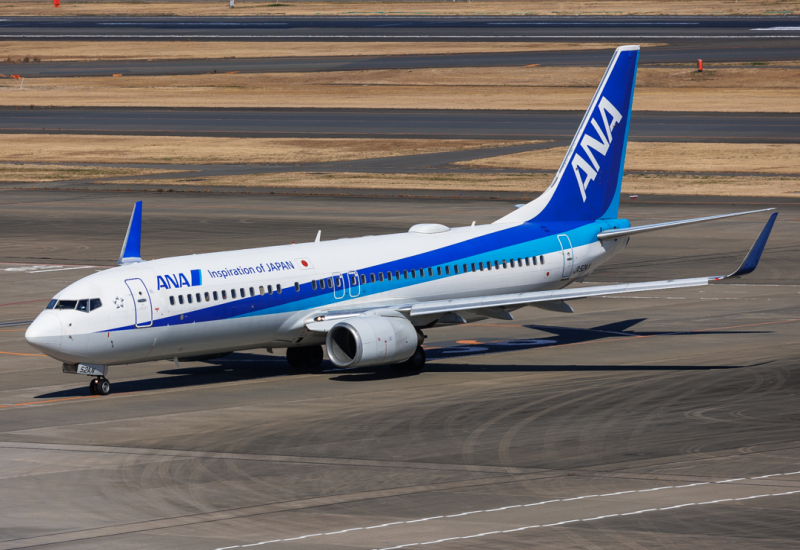 Photo of JA52AN - All Nippon Airways Boeing 737-800 at HND on AeroXplorer Aviation Database