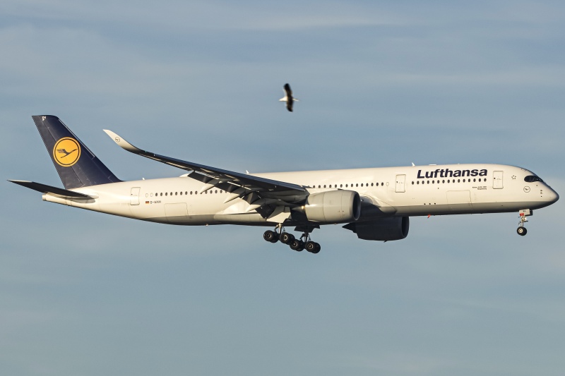 Photo of D-AIXH - Lufthansa Airbus A350-900 at SAN on AeroXplorer Aviation Database