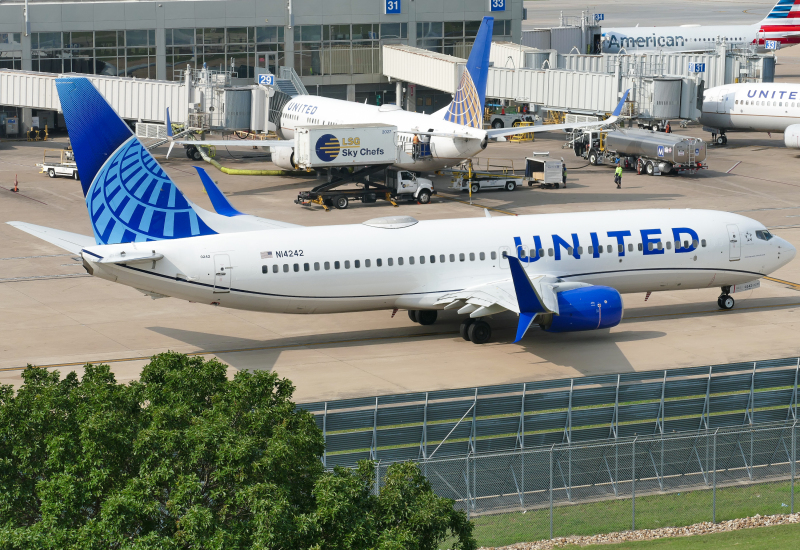 Photo of N14242 - United Airlines Boeing 737-800 at AUS on AeroXplorer Aviation Database