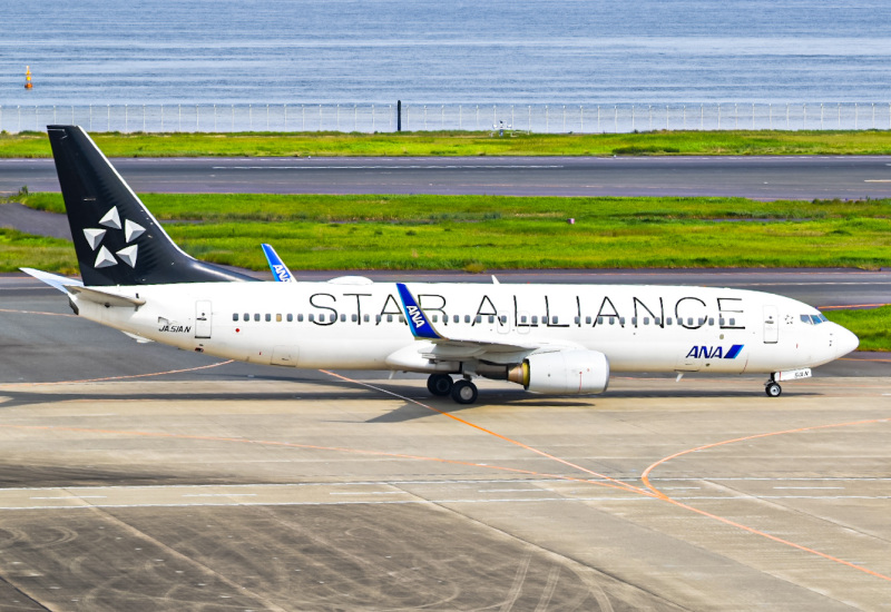 Photo of JA51AN - All Nippon Airways Boeing 737-800 at HND on AeroXplorer Aviation Database