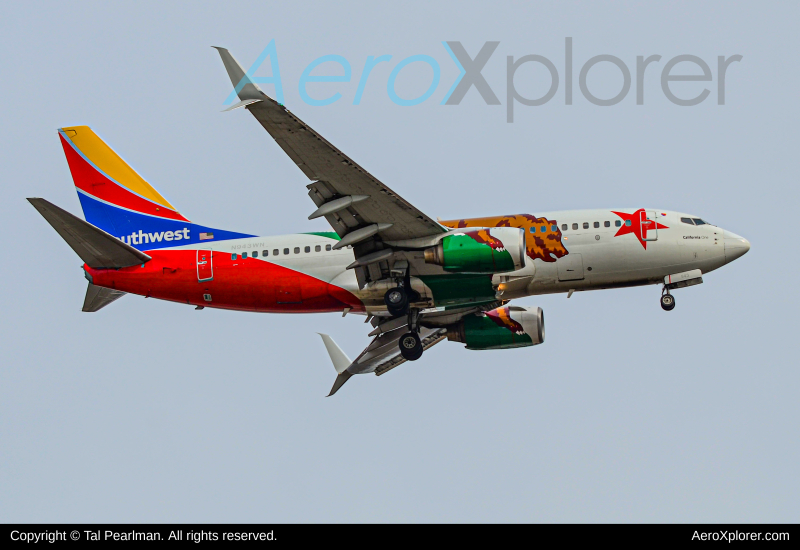 Photo of N943WN - Southwest Airlines Boeing 737-700 at BWI on AeroXplorer Aviation Database