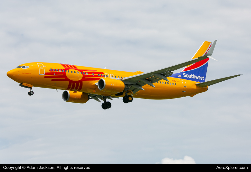 Photo of N8655D - Southwest Airlines Boeing 737-800 at BWI on AeroXplorer Aviation Database