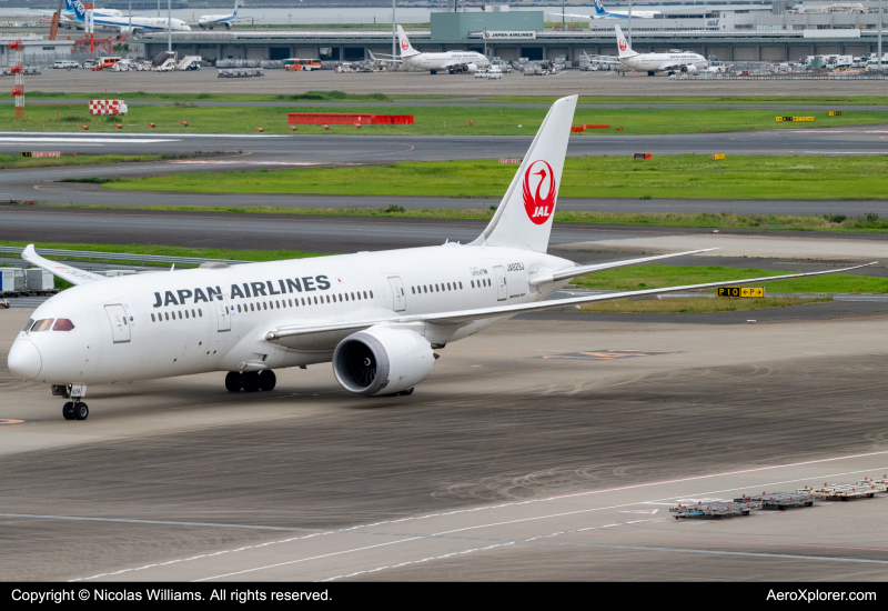 Photo of JA829J - Japan Airlines Boeing 787-8 at HND on AeroXplorer Aviation Database