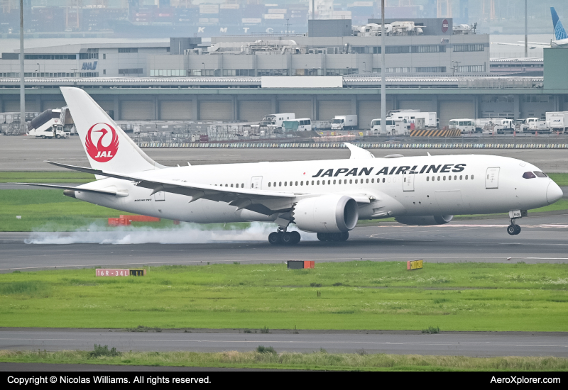 Photo of JA846J - Japan Airlines Boeing 787-9 at HND on AeroXplorer Aviation Database