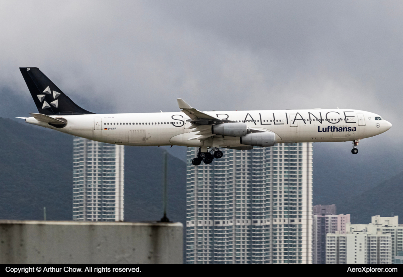 Photo of D-AIGP - Lufthansa Airbus A340-300 at HKG on AeroXplorer Aviation Database