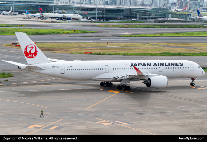 Photo of JA08XJ - Japan Airlines Airbus A350-900 at HND on AeroXplorer Aviation Database