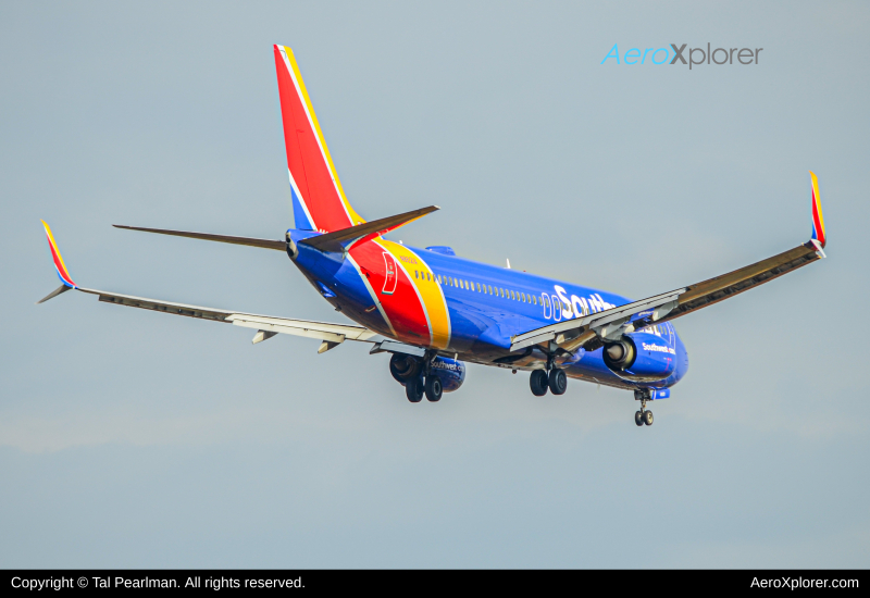 Photo of N8621A - Southwest Airlines Boeing 737-800 at BWI on AeroXplorer Aviation Database